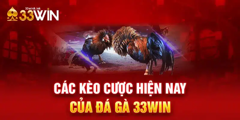 Các kèo cược hiện nay của đá gà 33WIN